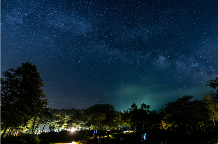 星空と森の夜景写真です。無数の星と天の川が輝き、木々のシルエットが見えます。幻想的な雰囲気です。