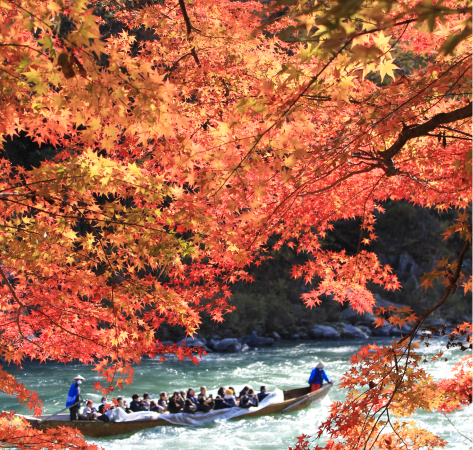 鮮やかに色づいた紅葉の下、川下りを楽しむ人々の様子が写し出されています。