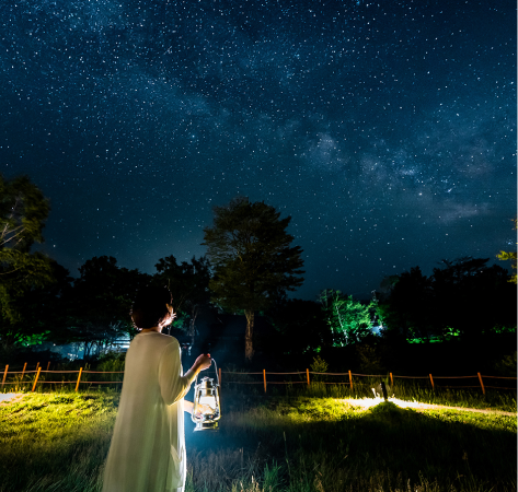 満天の星空の下、ランタンを手に佇む女性の後ろ姿を捉えた写真です。