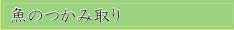 魚のつかみ取り